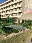 高齢者施設　櫻乃苑浜松富塚　家庭菜園