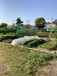 高齢者施設　櫻乃苑浜松富塚　家庭菜園